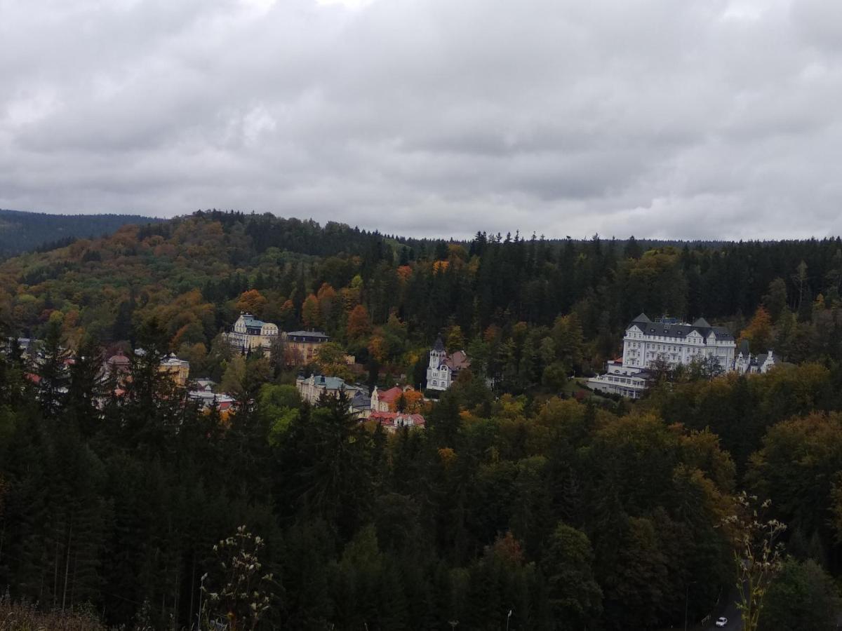 Apartman Friedrichsruh Apartman Mariánské Lázně Kültér fotó
