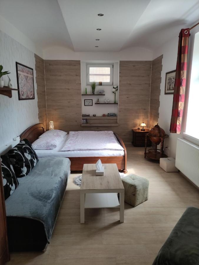 Apartman Friedrichsruh Apartman Mariánské Lázně Kültér fotó