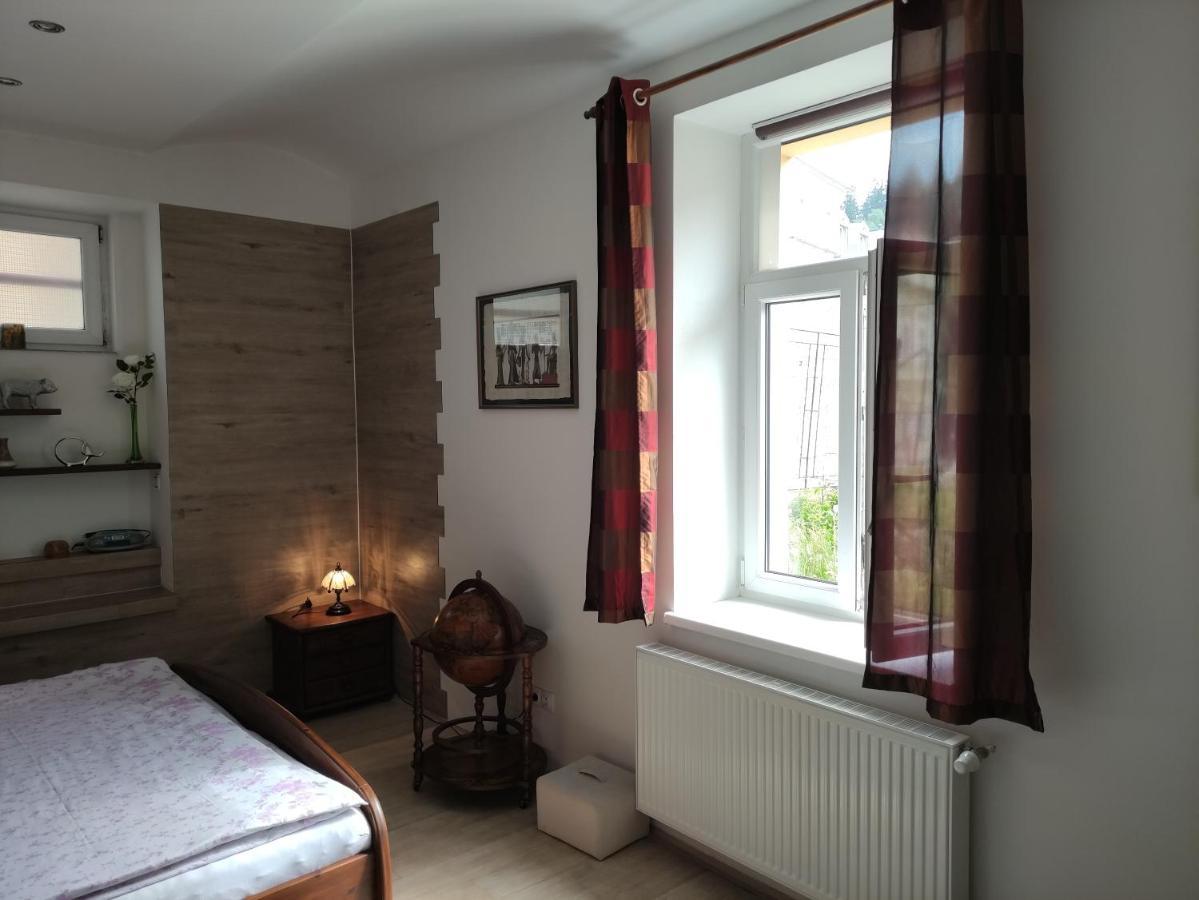 Apartman Friedrichsruh Apartman Mariánské Lázně Kültér fotó