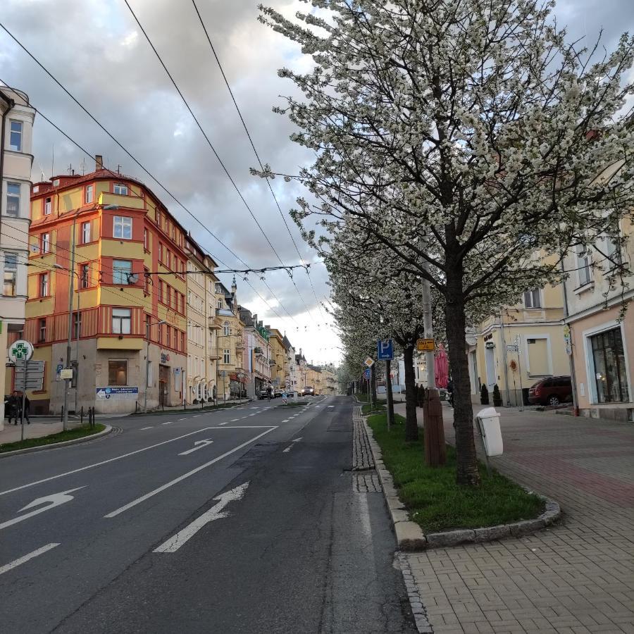 Apartman Friedrichsruh Apartman Mariánské Lázně Kültér fotó