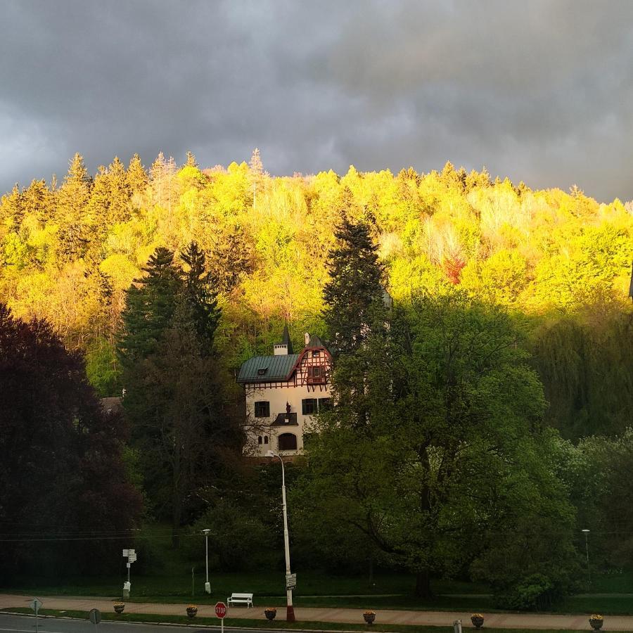 Apartman Friedrichsruh Apartman Mariánské Lázně Kültér fotó