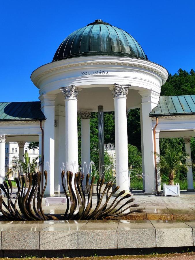 Apartman Friedrichsruh Apartman Mariánské Lázně Kültér fotó