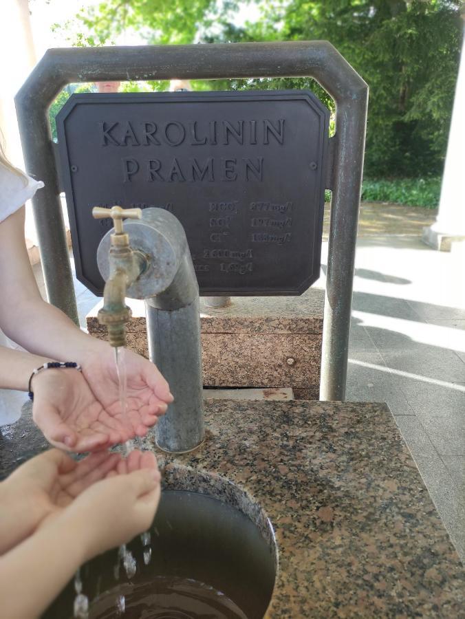 Apartman Friedrichsruh Apartman Mariánské Lázně Kültér fotó