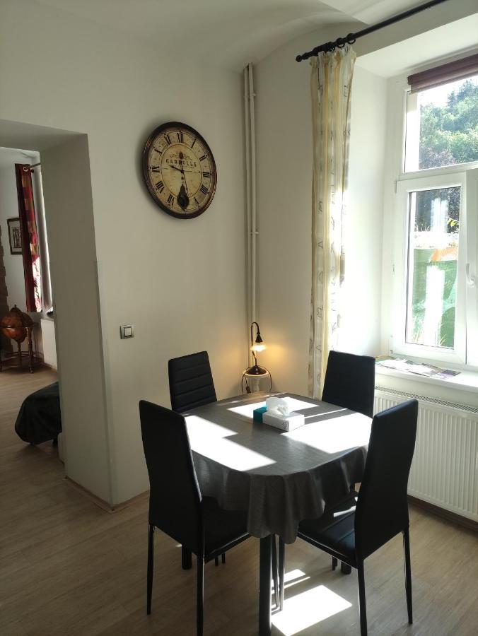 Apartman Friedrichsruh Apartman Mariánské Lázně Kültér fotó