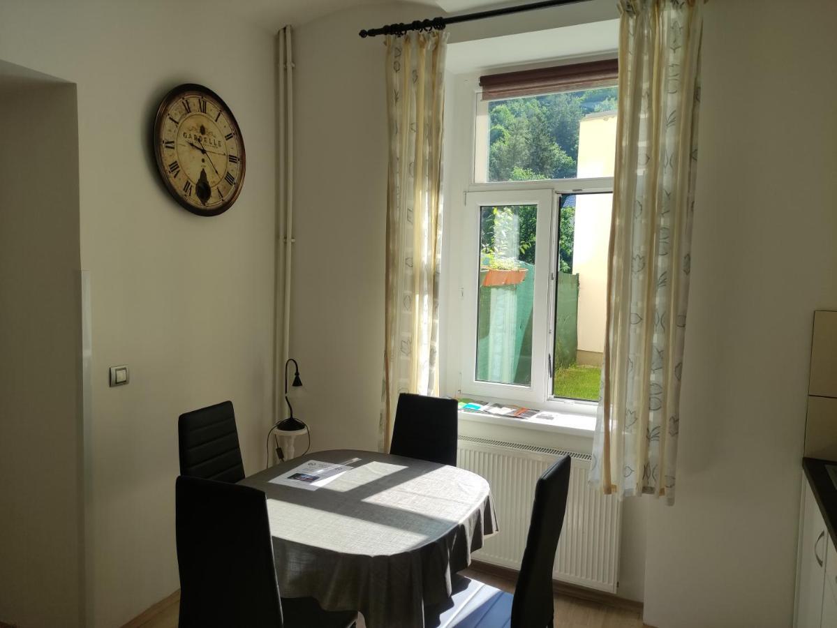Apartman Friedrichsruh Apartman Mariánské Lázně Kültér fotó